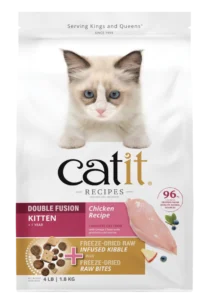 Kitten